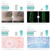 SERUM GLUTATIONE AMPOULE SERUM 2 Sérum Coreano con Glutatión y Niacinamida APLB
